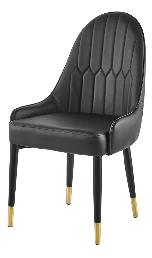 DC80 Set of 2 Modern Dining Chair