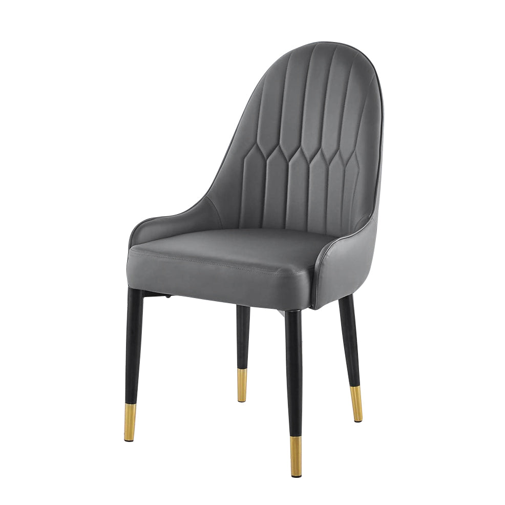 DC80 Set of 2 Modern Dining Chair