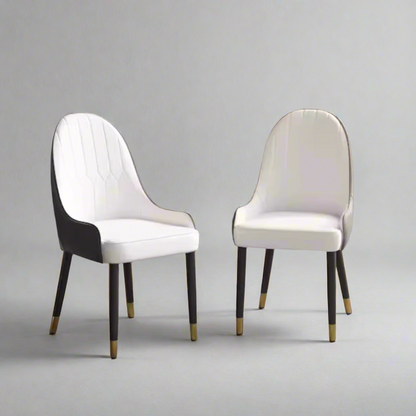 DC80 Set of 2 Modern Dining Chair