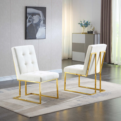 DCK69 Set of 2 Velvet Dining Chair