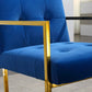 DCK70 Luxurious Dining Chair with Stainless Steel