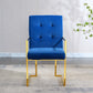 DCK70 Luxurious Dining Chair with Stainless Steel